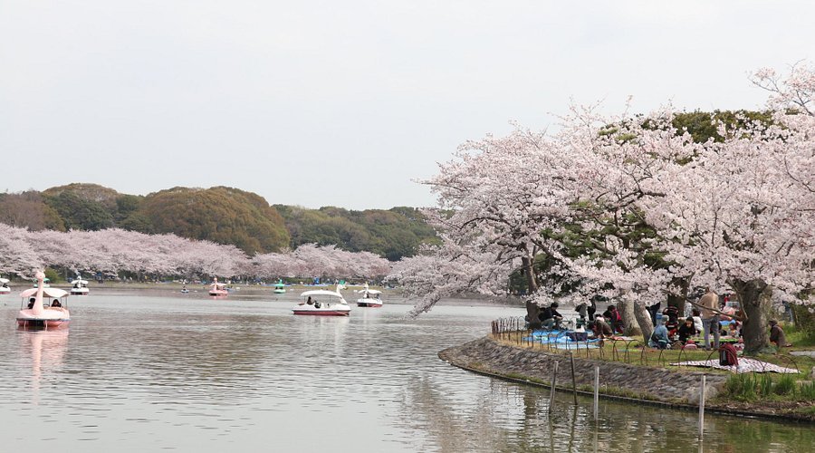 🌳 효고 현립 아카시 공원 (효고켄리츠 아카시 코엔) 이미지 6